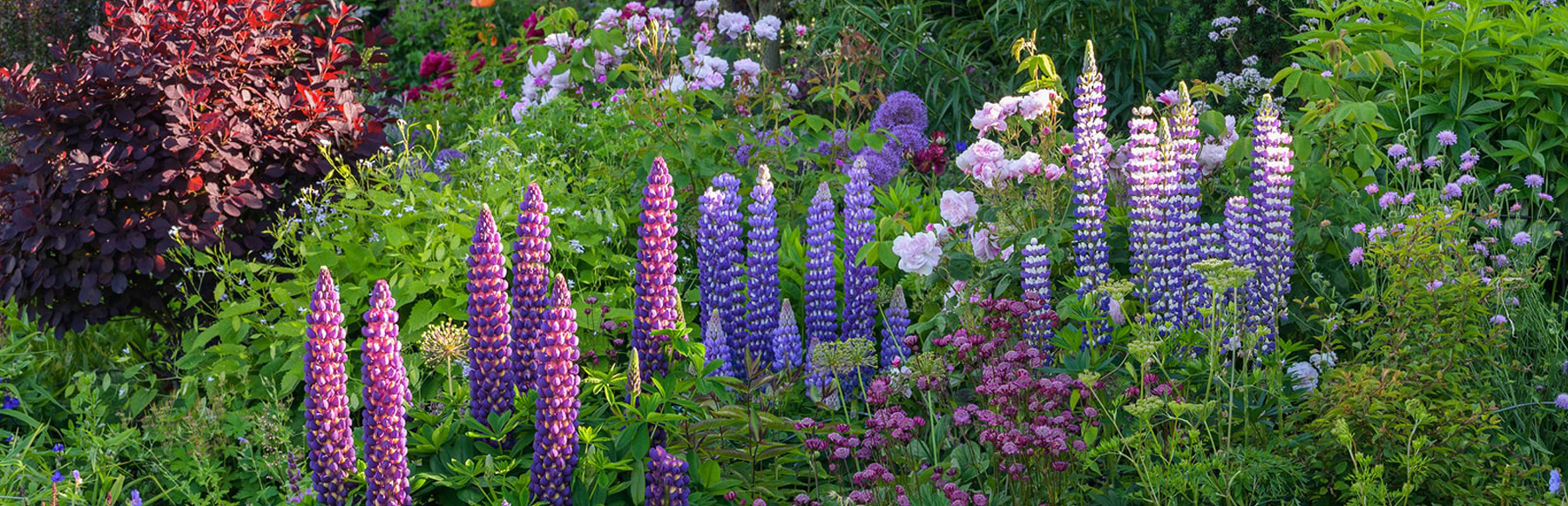 Stoke Albany House | Traditional Garden